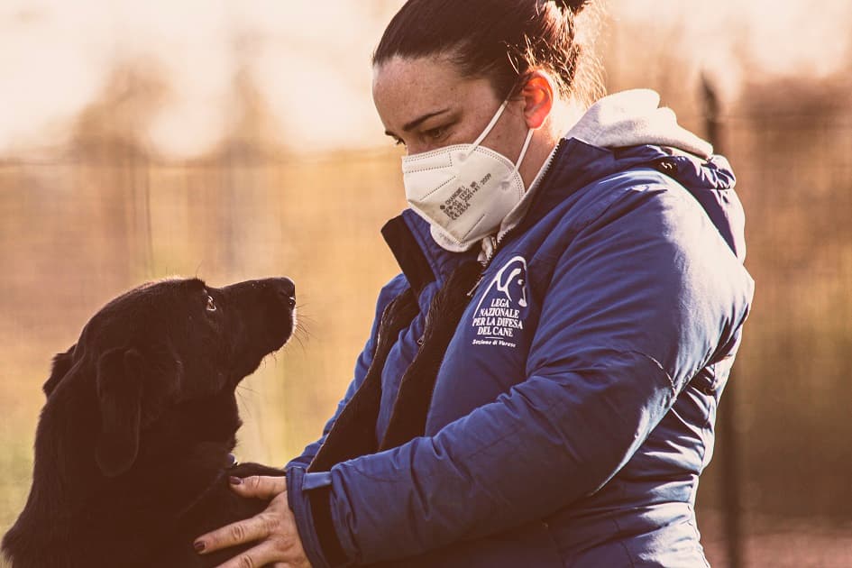FACCIAMO RETE PER I CANI DEL CANILE VA di FACCIAMO RETE PER I CANI DEL CANILE VA -