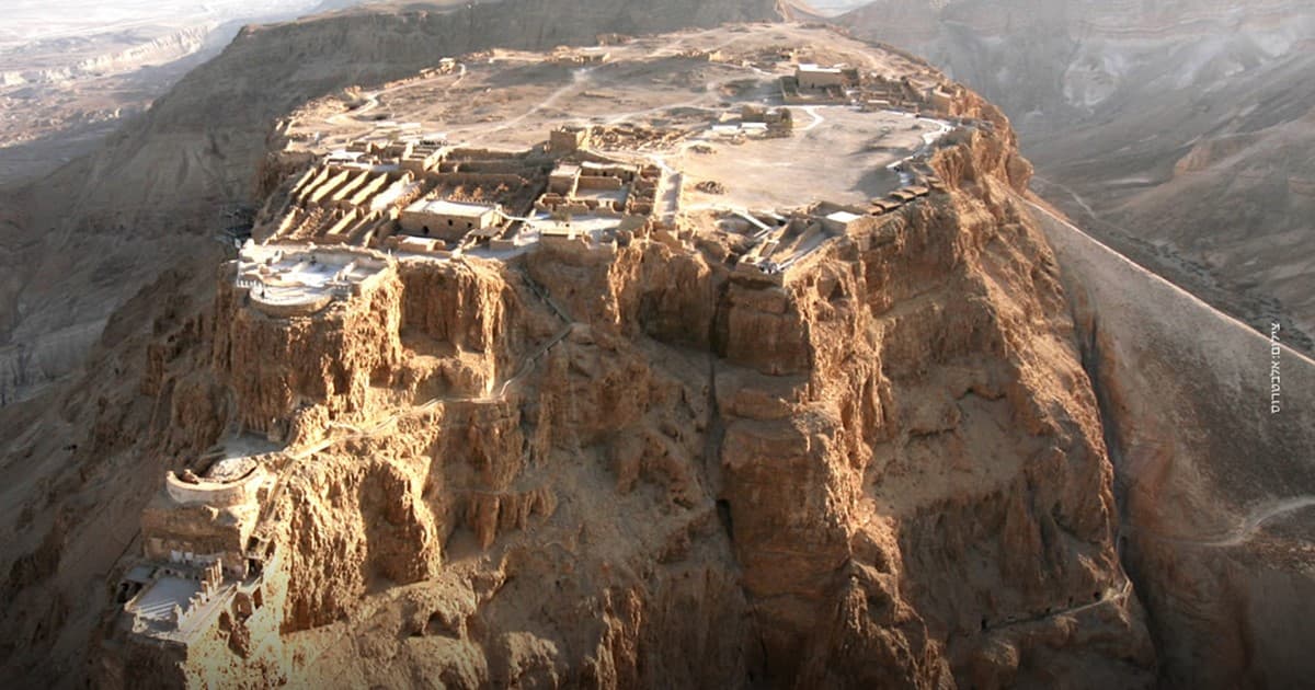 Formazione in Israele per studenti di Associazione Camis de Fonseca Formazione in Israele per studenti-Associazione Camis de Fonseca