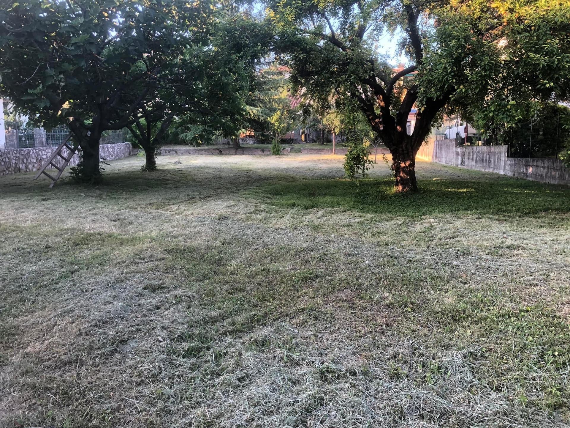 Un giardino per la Vita di Voi come Noi per l’autismo Un giardino per la Vita-Voi come Noi per l’autismo