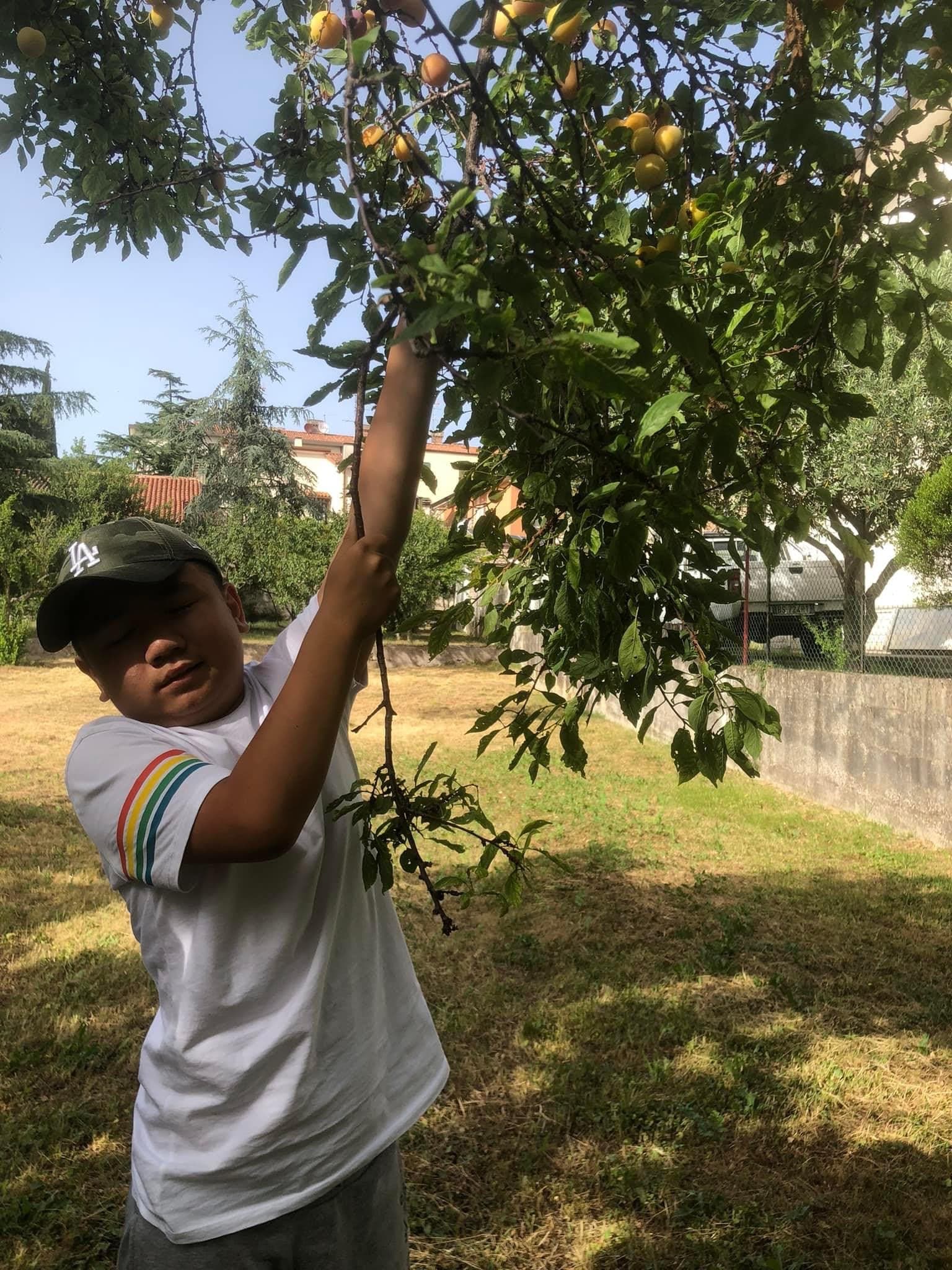 Un giardino per la Vita di Voi come Noi per l’autismo Un giardino per la Vita-Voi come Noi per l’autismo