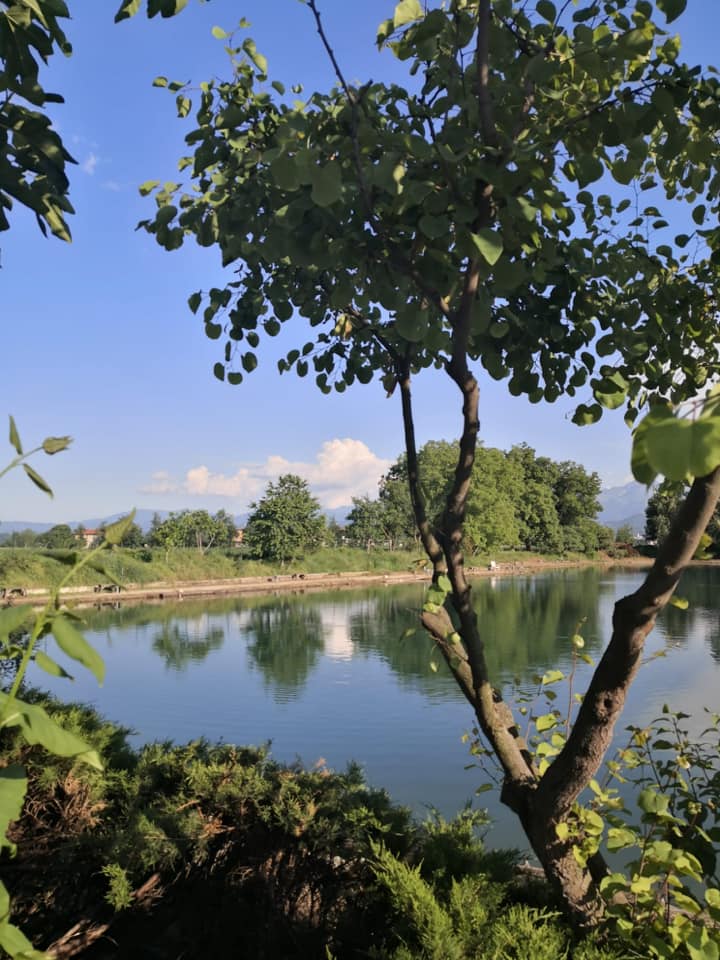 Pesca al lago e trota affumicata al Martin Pescatore
