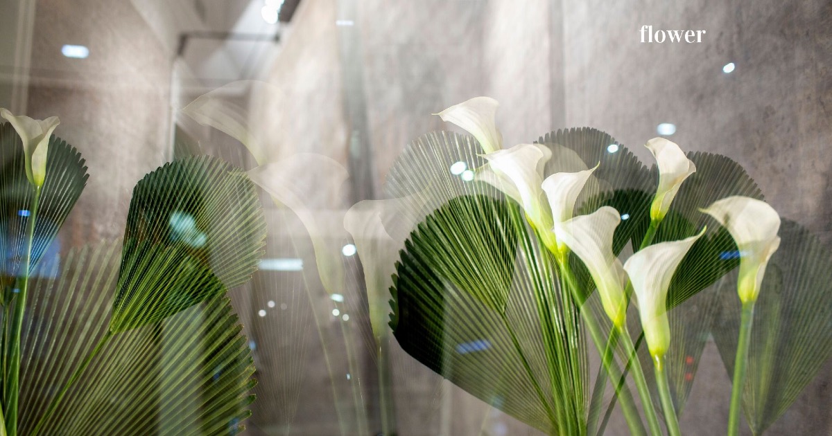 RESPIRA di lorenzo passoni RESPIRA-lorenzo passoni