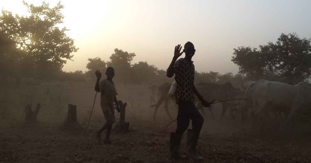 L.V.I.A. Sangano - L'Africa nel cuore di Anna Rita De Luigi L.V.I.A. Sangano - L'Africa nel cuore-Anna Rita De Luigi