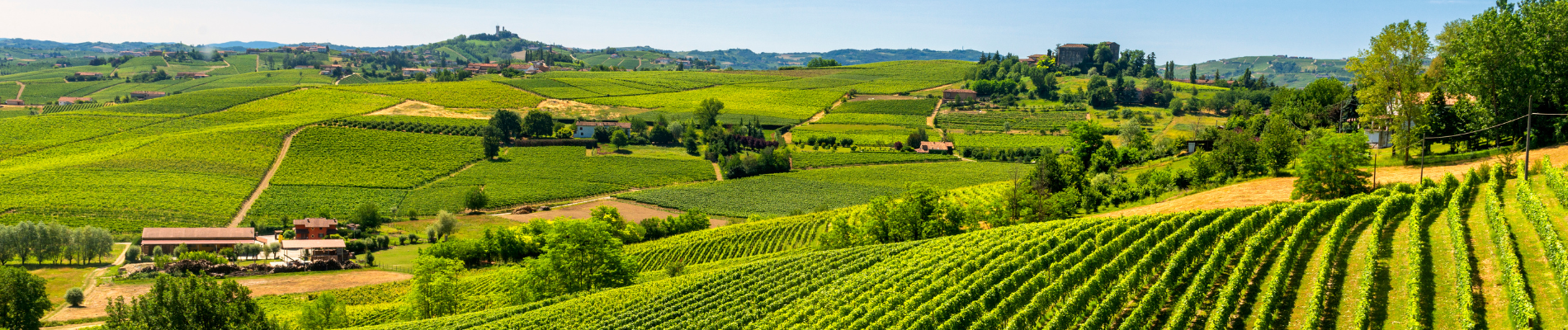 Rete del Dono Fondazione Carifano Crowdfunding 2021