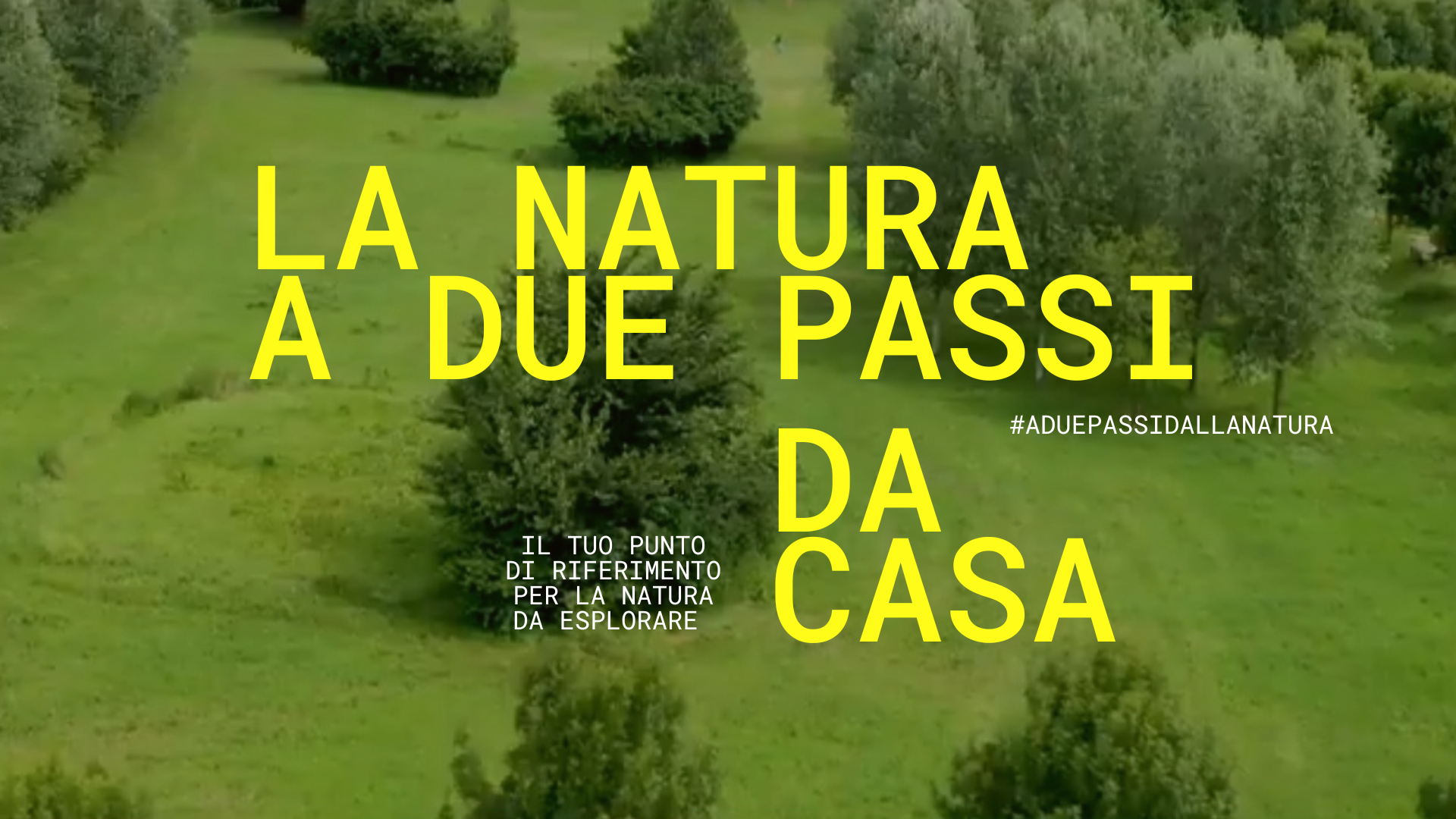 La natura a due passi da casa.