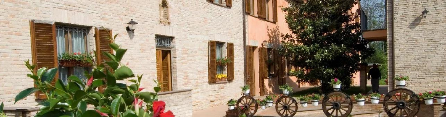 Rete del Dono Associazione Oasi dell'Accoglienza