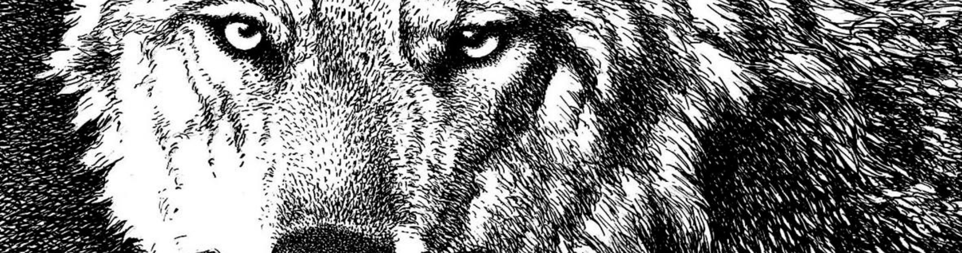 Rete del Dono Associazione Lupus in Fabula