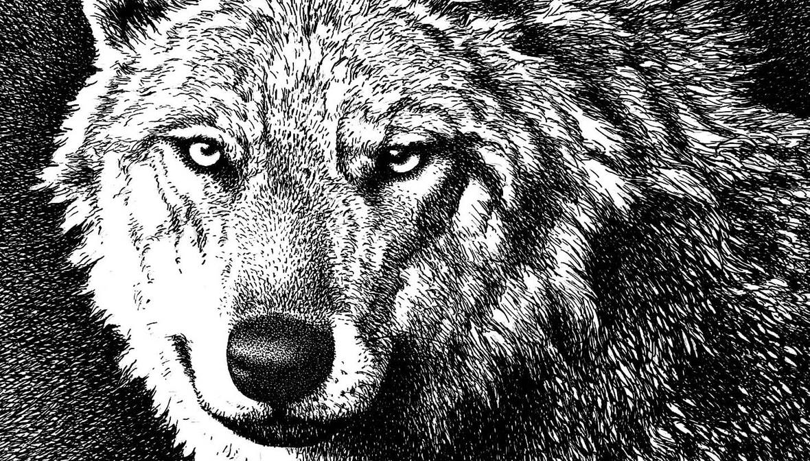 Rete del Dono Lupus in Fabula Associazione