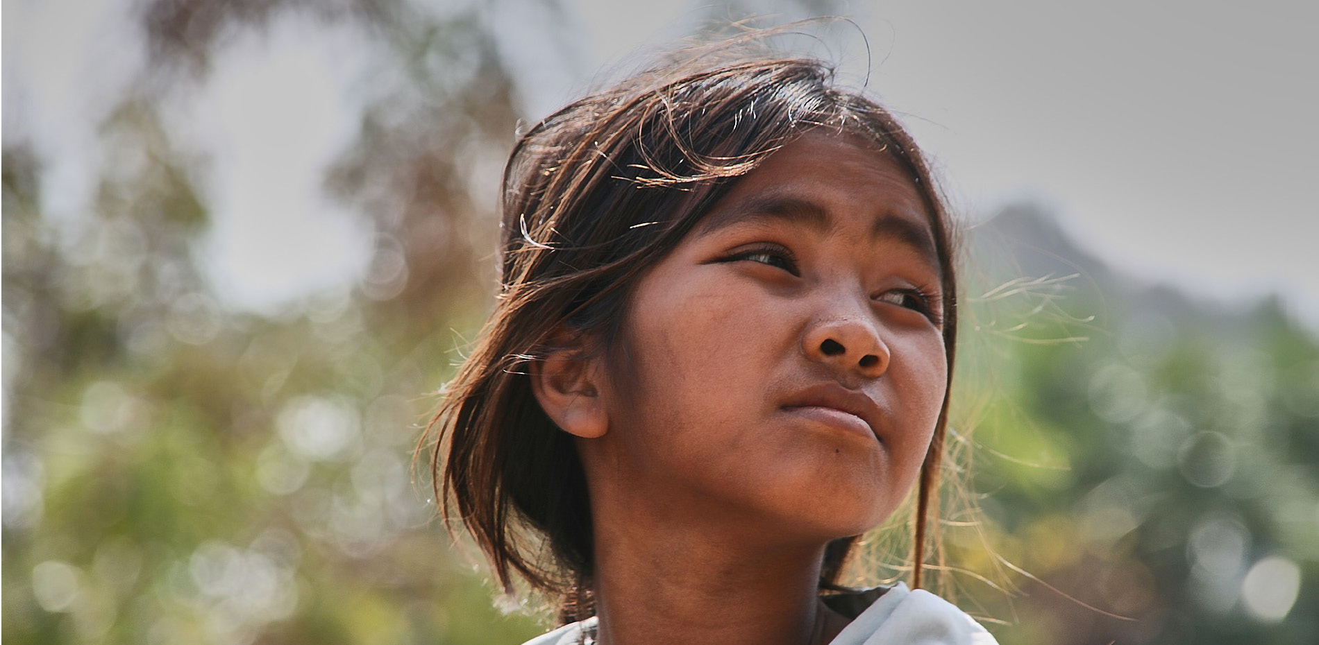 CIFA immagine di copertina