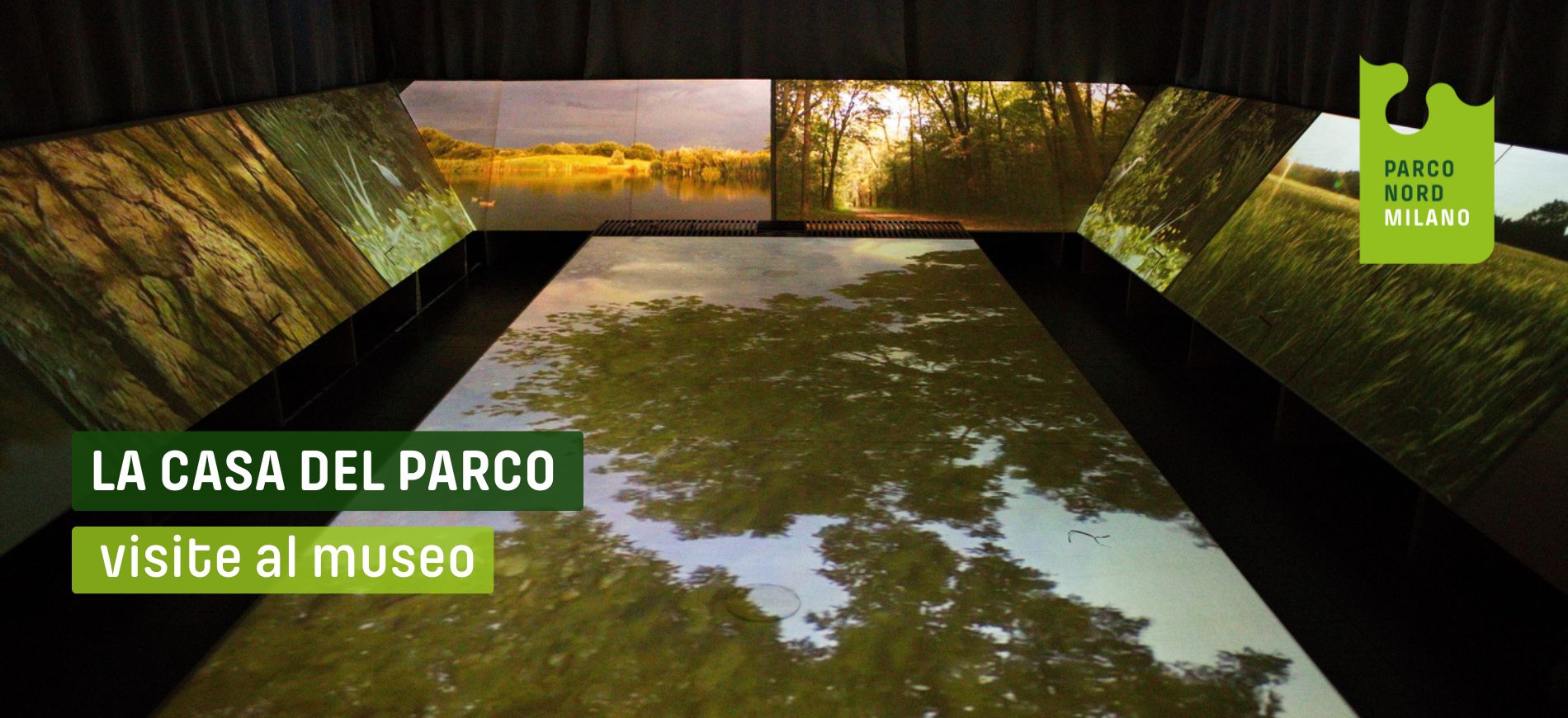 Immagine vetrina RDD (1).jpg