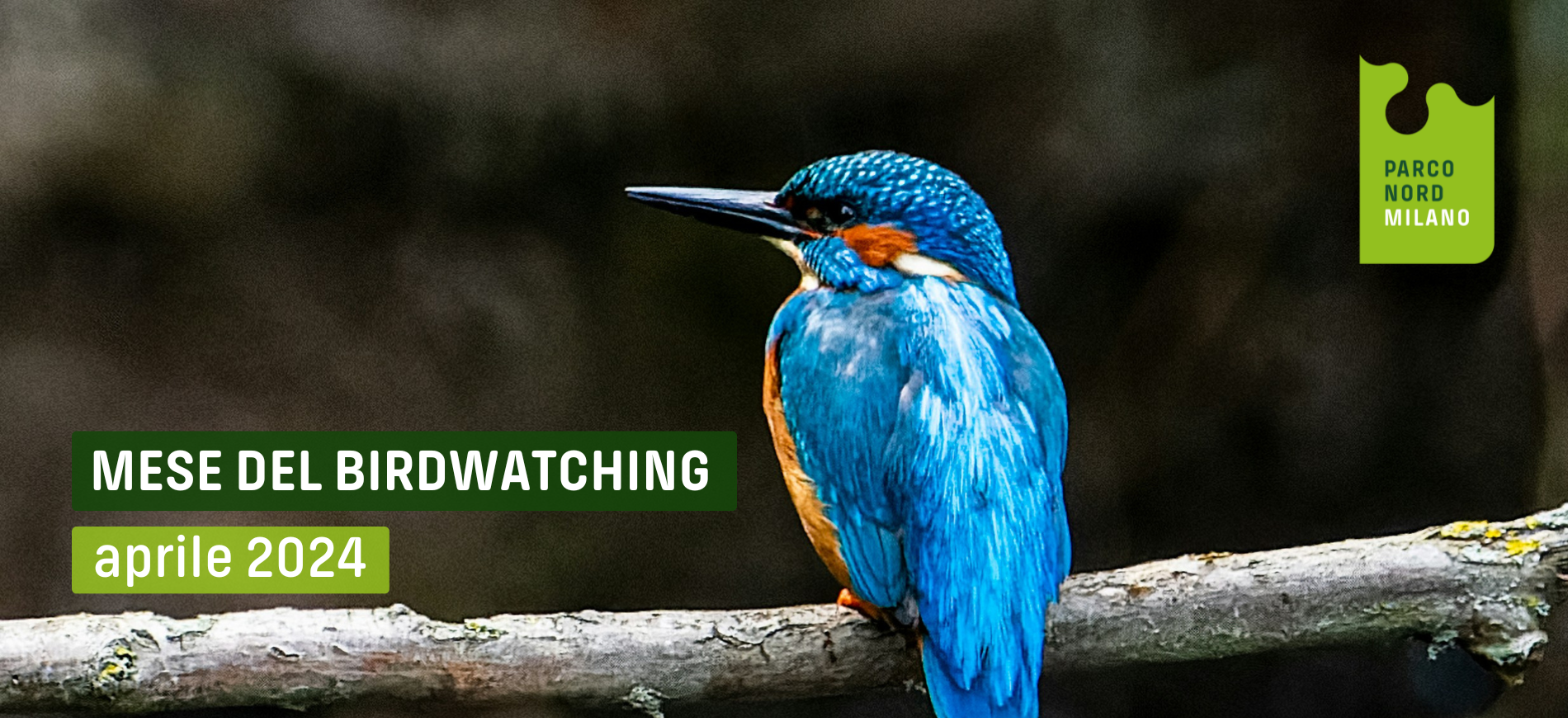 Immagine vetrina RDD (1).png