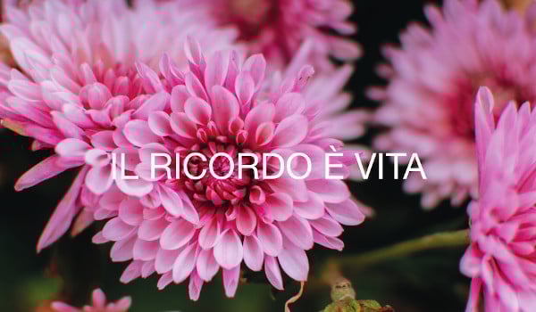 Donazione in memoria defunto