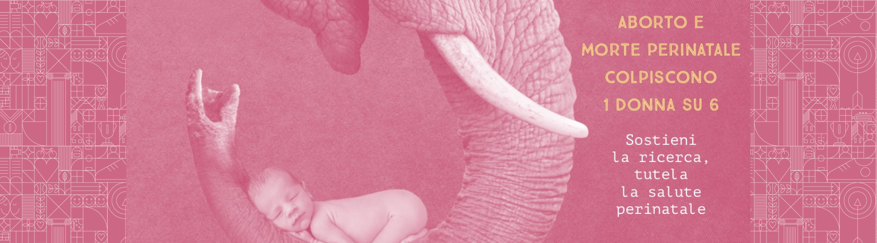 Rete del Dono Fondazione CiaoLapo ETS