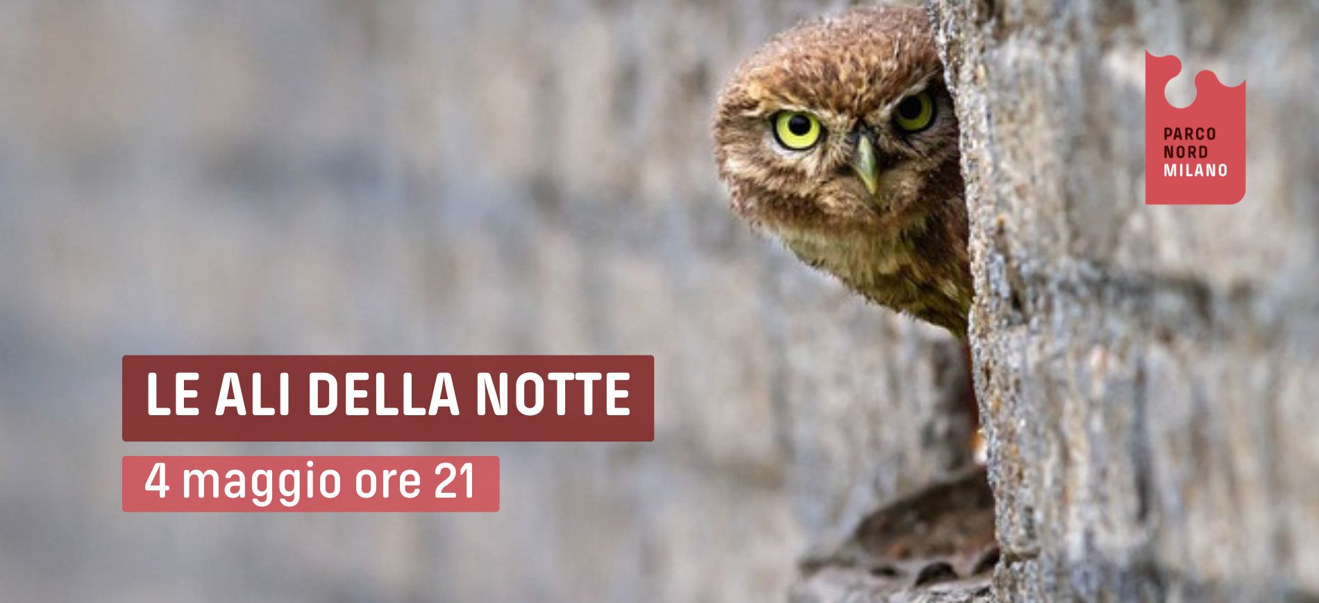 vetrina 4 maggio.jpg