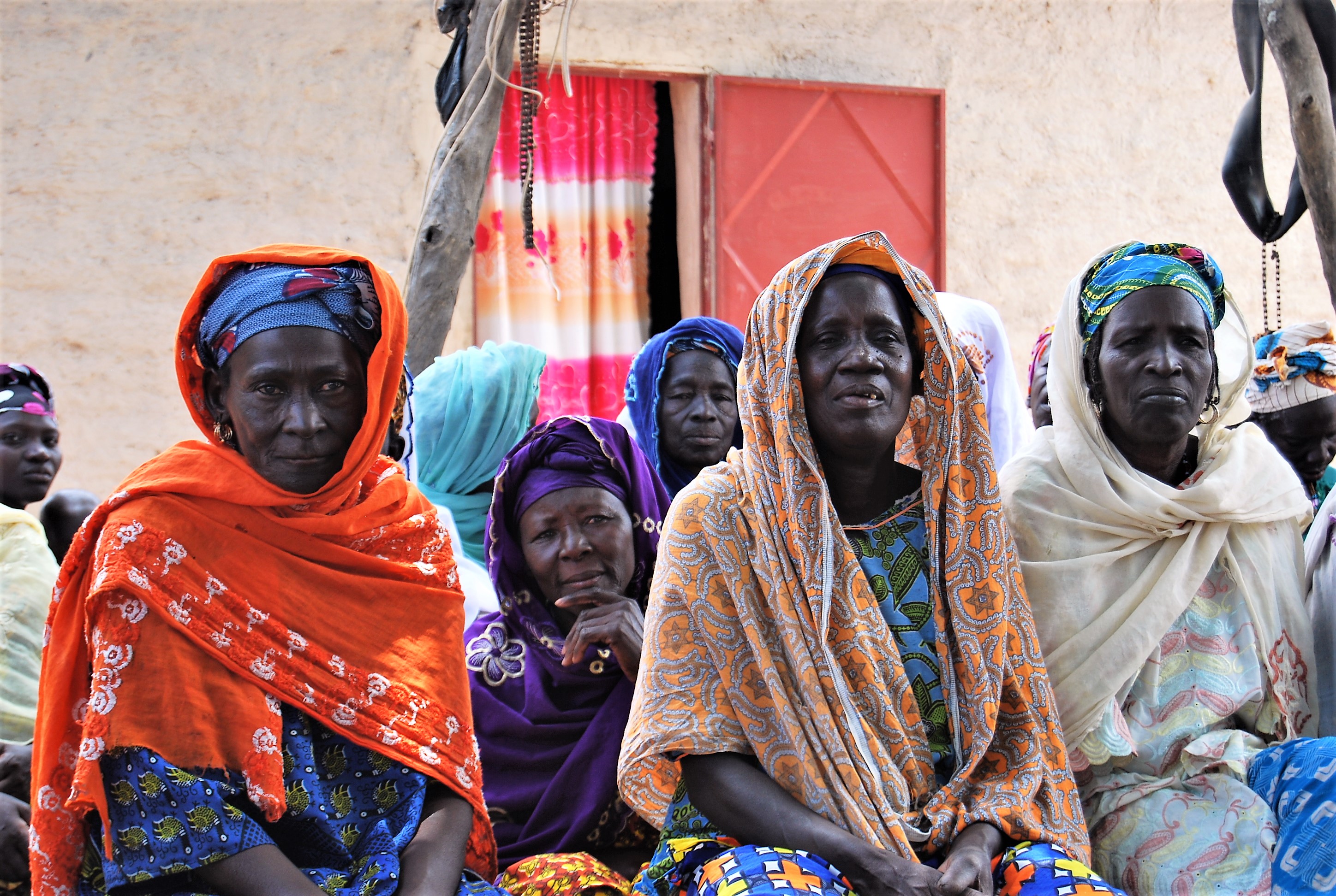Villaggio di Lenà - progetto agricolo