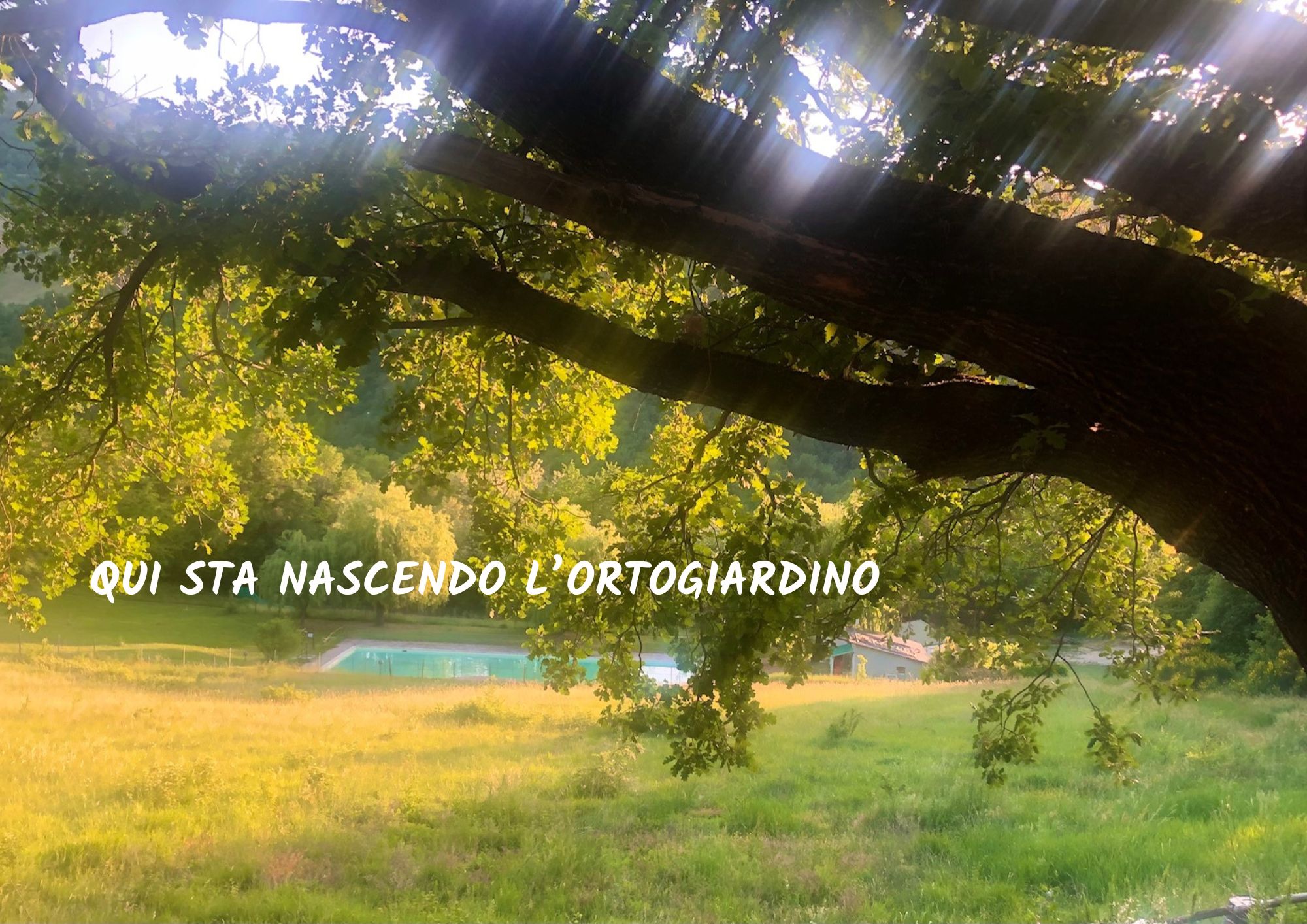 qui sta nascendo l'ortogiardino