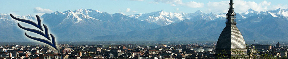 Rete del Dono Gruppi di Volontariato Vincenziano Piemonte