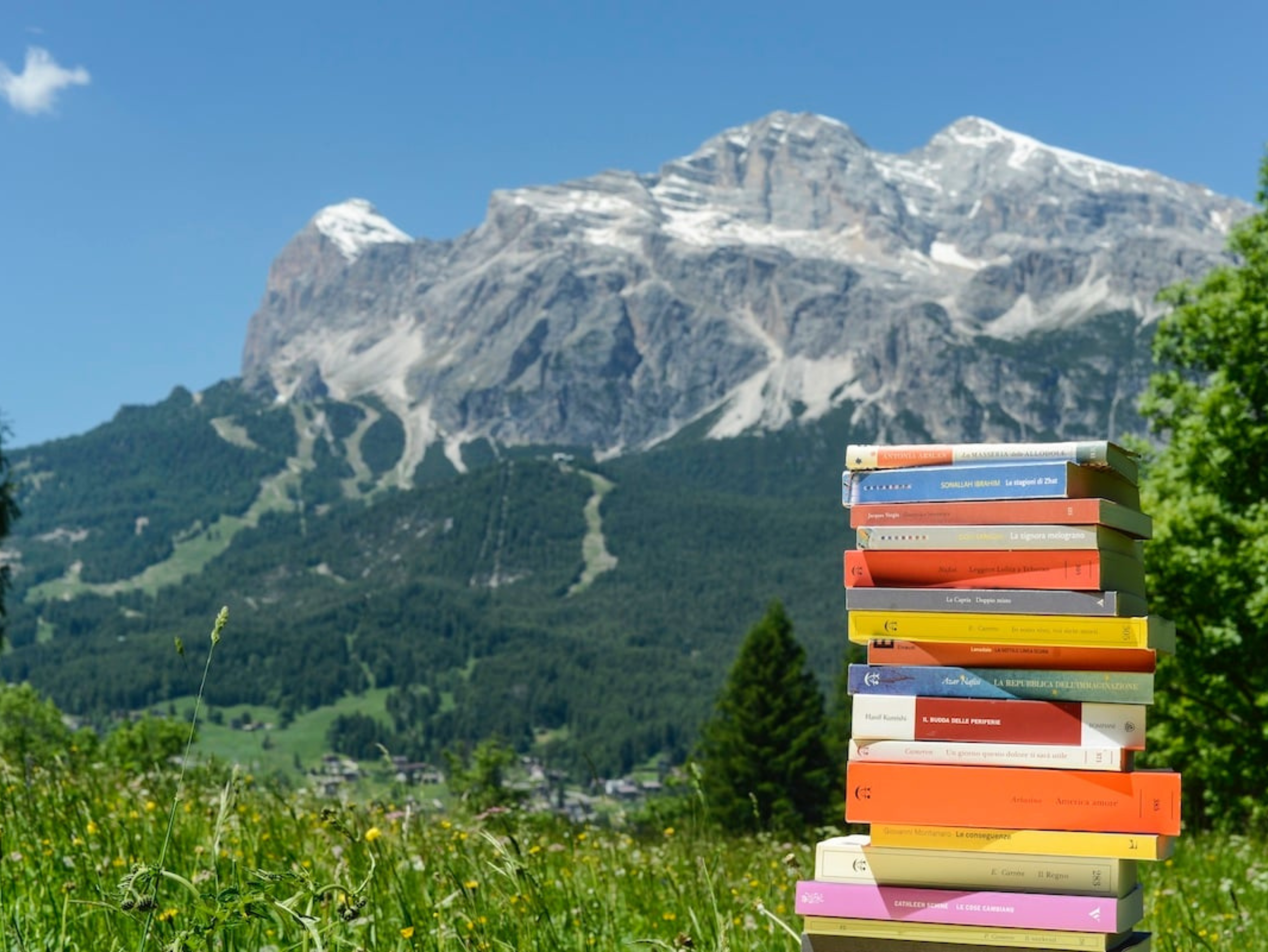 Una montagna di libri