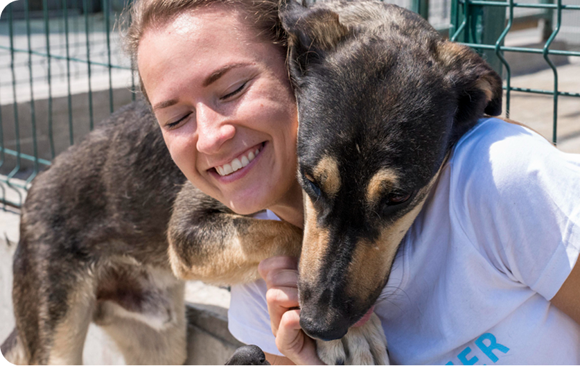 Animali e crowdfunding