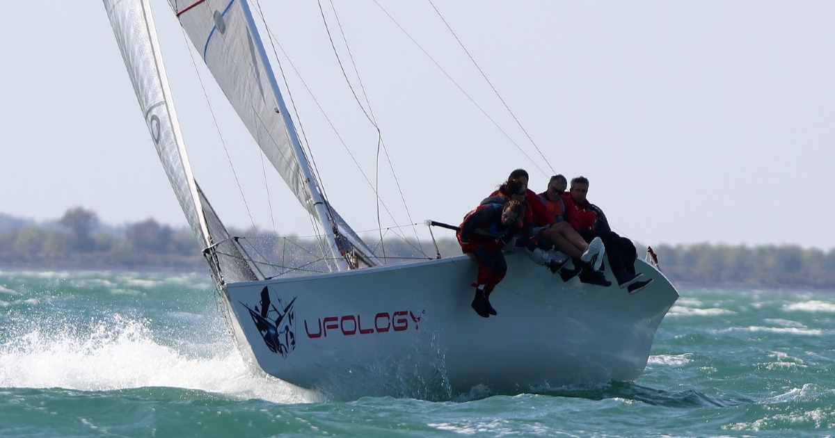 UFOLOGY per SCRICCIOLO-Nicola Lapo