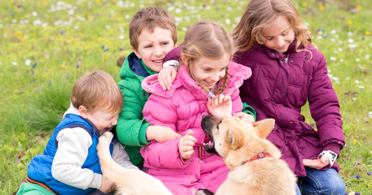 zamPETtiamo in Mongolfiera-Giorgia Masiero