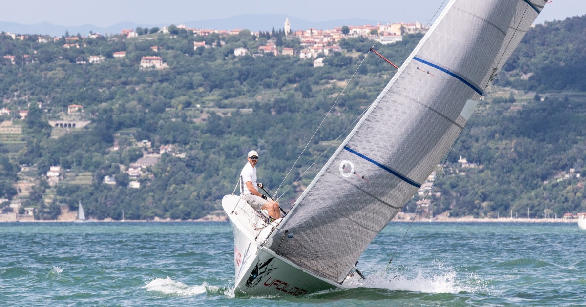 UFOLOGY per SCRICCIOLO-Nicola Lapo