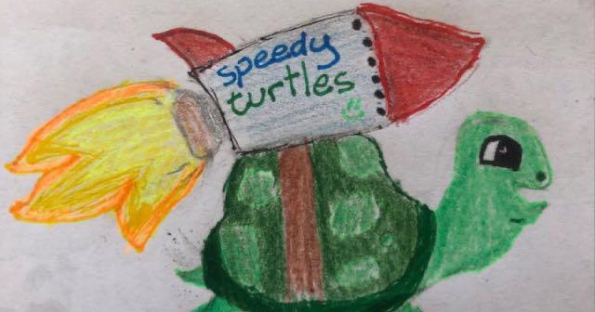 SPEEDY TURTLES per CASAMICHELEPERTUTTI di Luciana DE BIASI SPEEDY TURTLES per CASAMICHELEPERTUTTI -Luciana DE BIASI