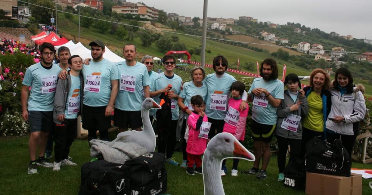 PROG. FILIPPIDE per CASAMICHELEPERTUTTI di SILVIA CICCONI PROG. FILIPPIDE per CASAMICHELEPERTUTTI -SILVIA CICCONI