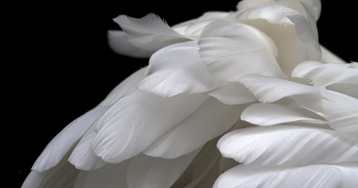 Charlie's Angels-LCA Studio Legale