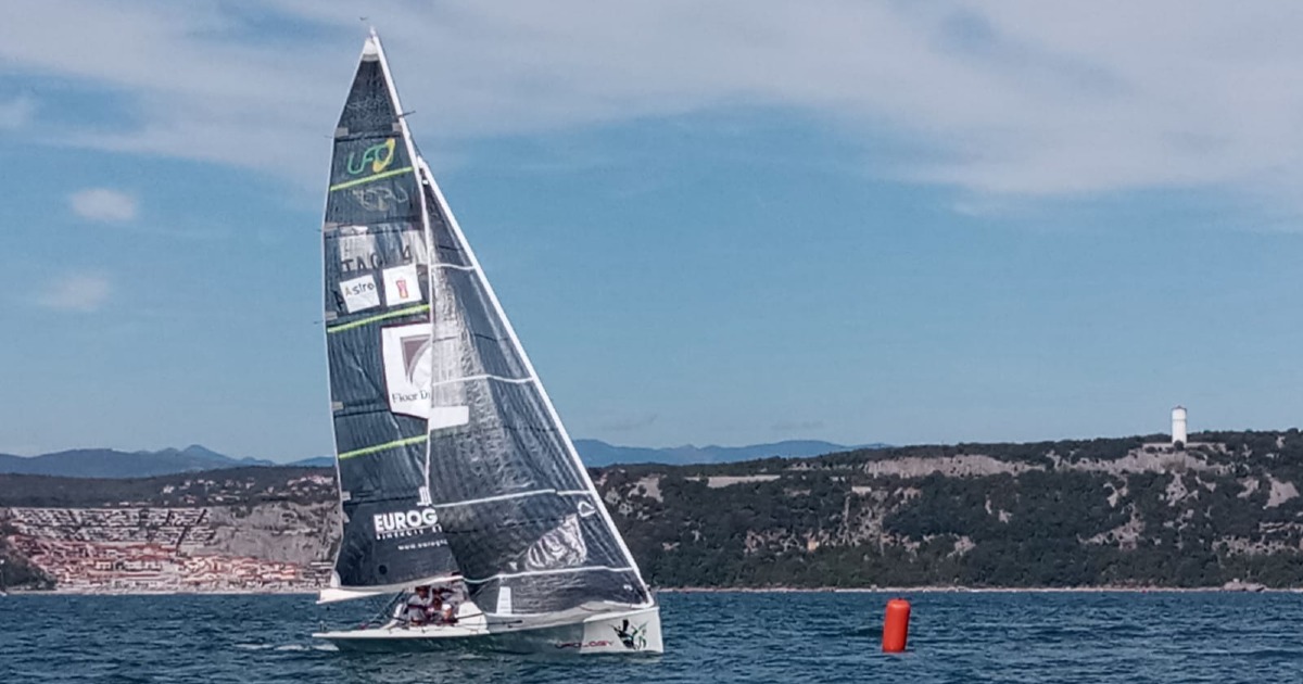 UFOLOGY per SCRICCIOLO-Nicola Lapo