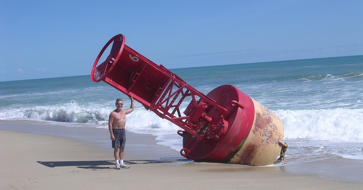 4 Boe all'orizzonte-Alessandro Boschini