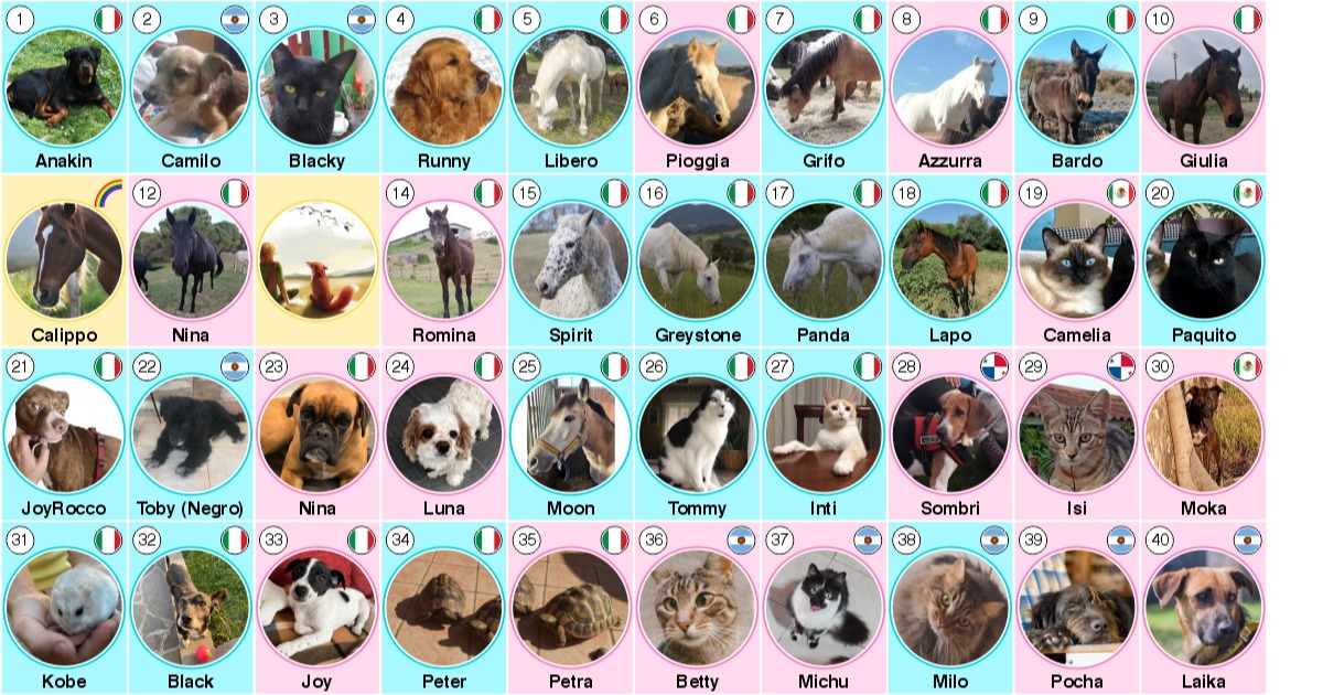 50 anni Claudio David Percara-Claudio David Percara