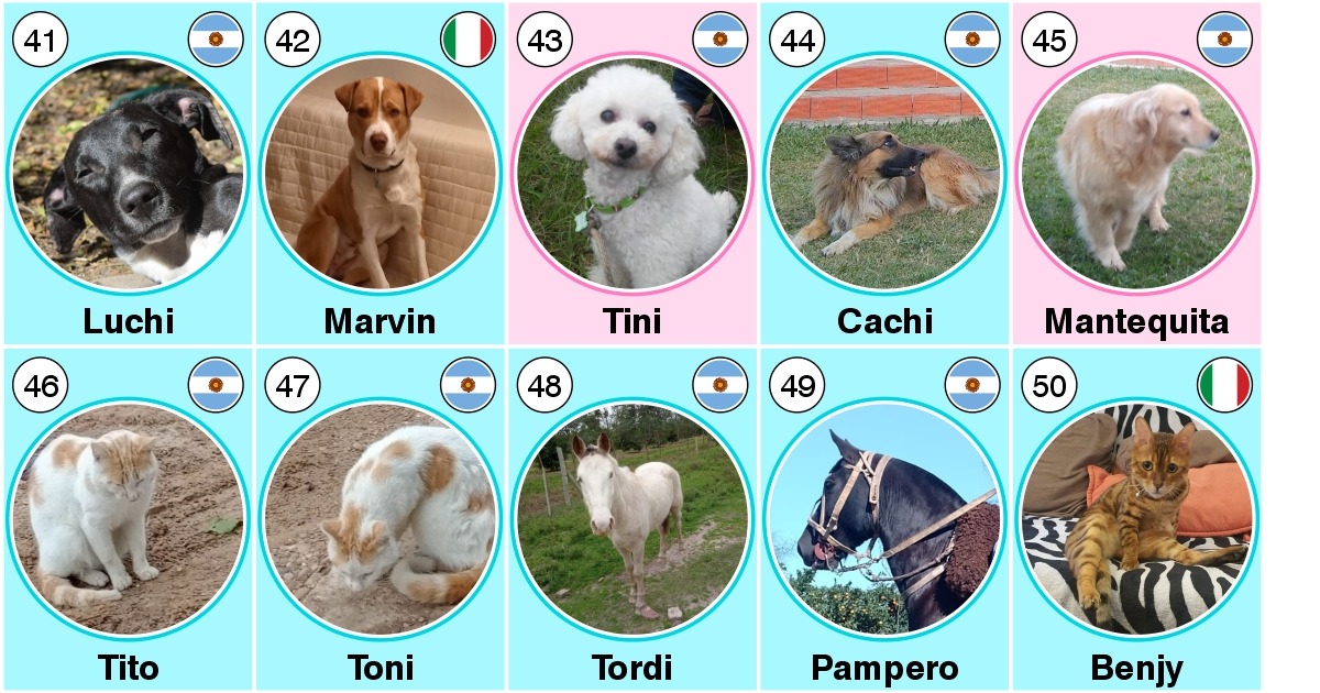 50 anni Claudio David Percara-Claudio David Percara