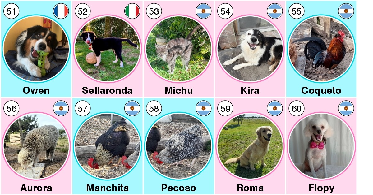 50 anni Claudio David Percara-Claudio David Percara