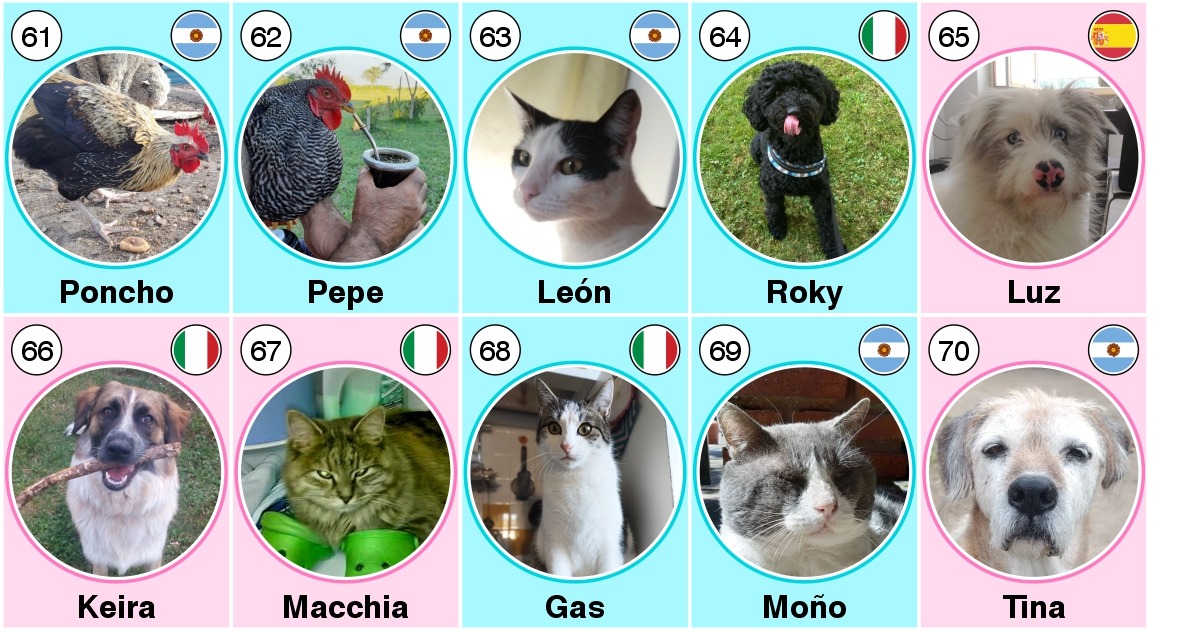 50 anni Claudio David Percara-Claudio David Percara