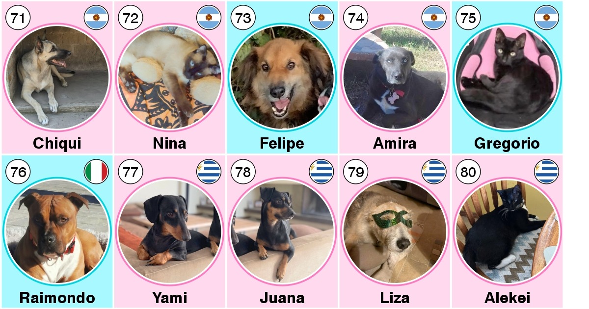 50 anni Claudio David Percara-Claudio David Percara