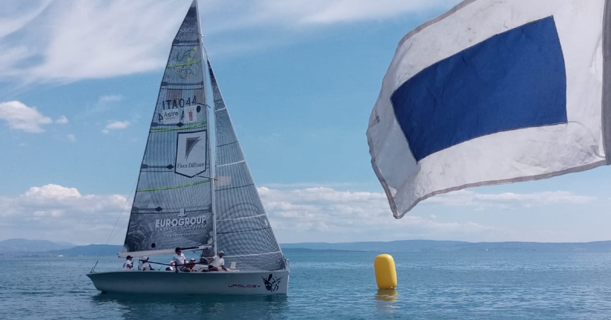 UFOLOGY per SCRICCIOLO-Nicola Lapo