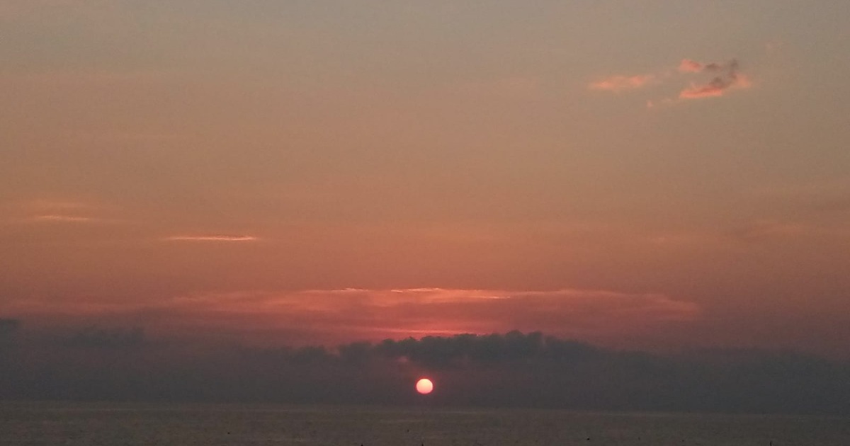 VIVI IL TUO DOMANI di CRISTINA TURELLA VIVI IL TUO DOMANI-CRISTINA TURELLA