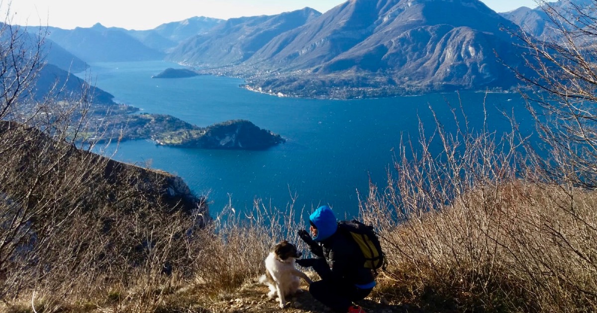 Per mia Madre e per la Ricerca di barbara songia Per mia Madre e per la Ricerca-barbara songia