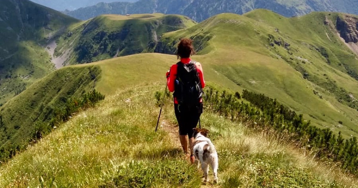 Per mia Madre e per la Ricerca di barbara songia Per mia Madre e per la Ricerca-barbara songia