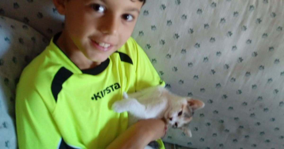 Pirata Solidale-Roberto Gualdoni