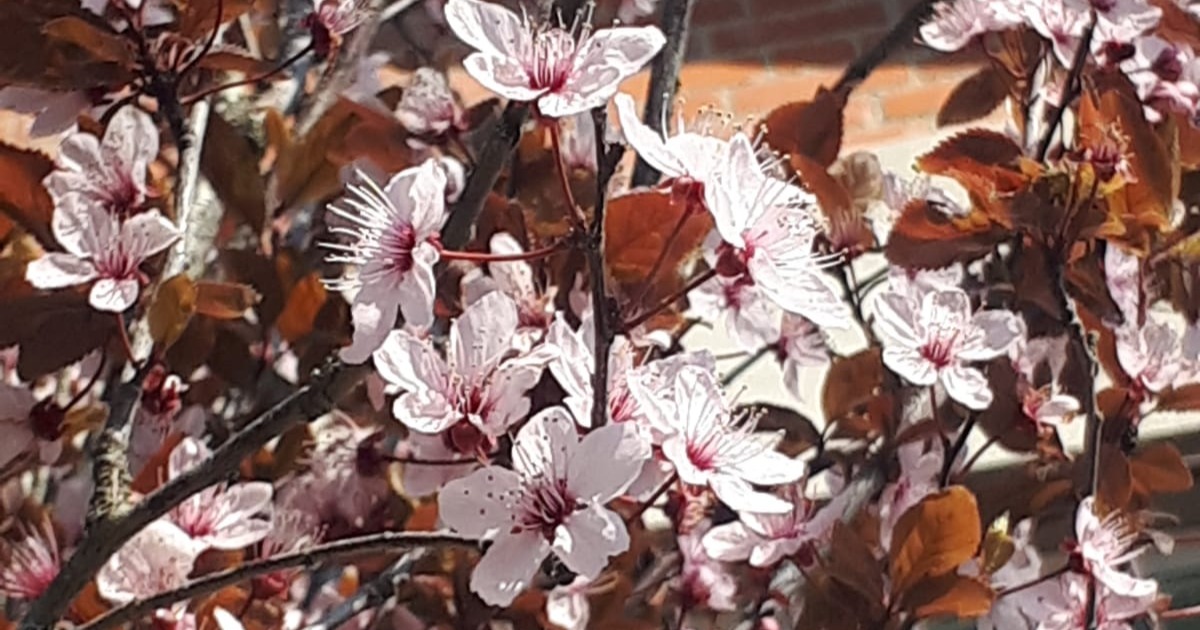 Gli Statici-Michele Agostini