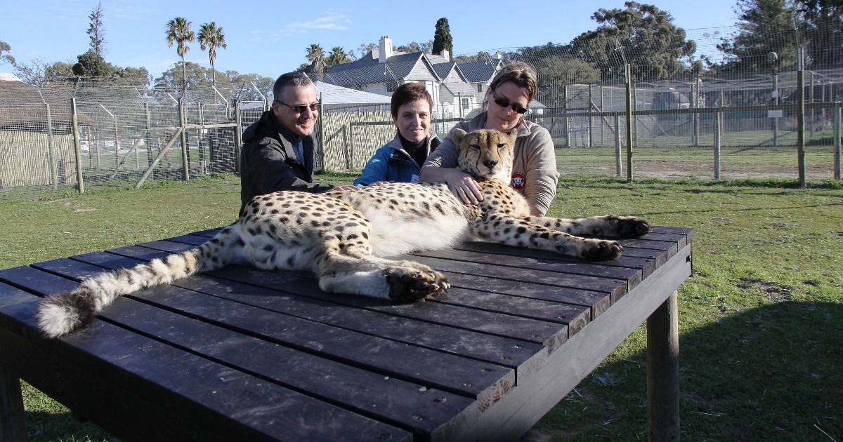 Un dono per i miei ragazzi di Marco Gamba Un dono per i miei ragazzi-Marco Gamba