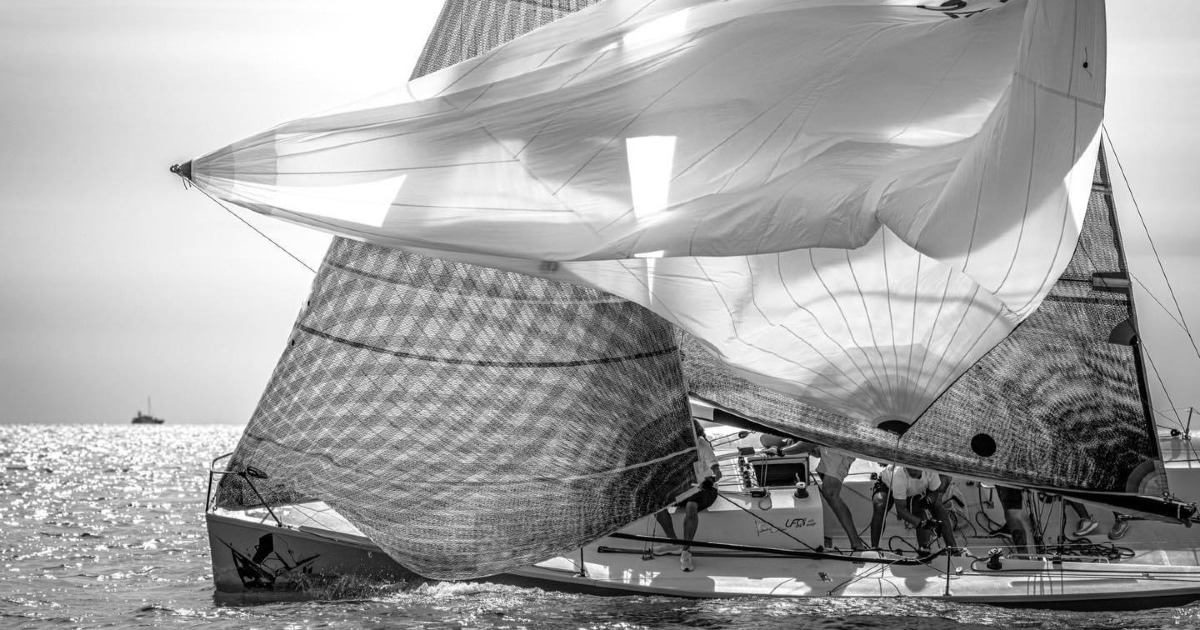 UFOLOGY per SCRICCIOLO-Nicola Lapo