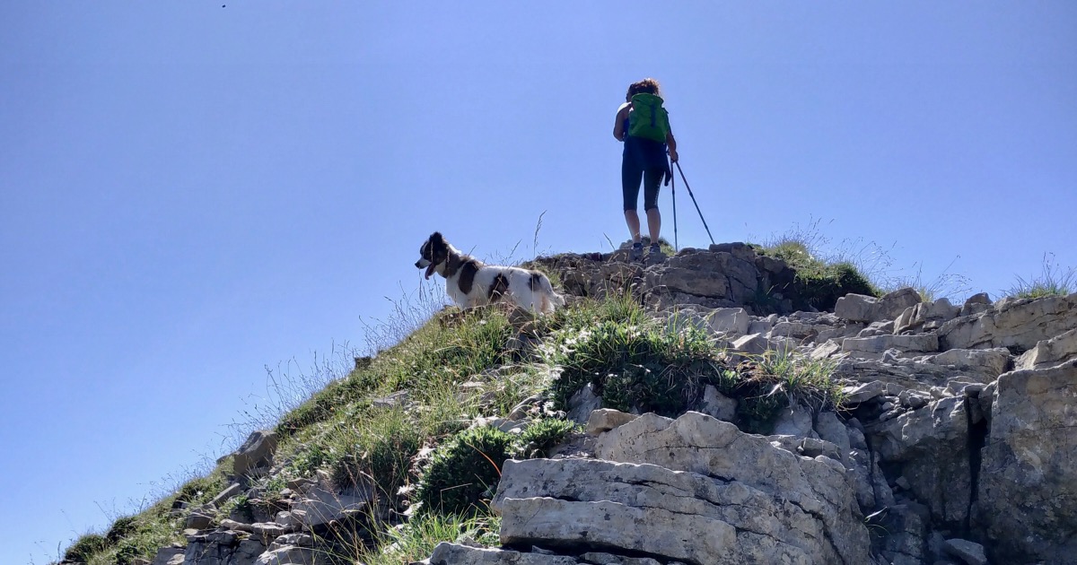Per mia Madre e per la Ricerca di barbara songia Per mia Madre e per la Ricerca-barbara songia