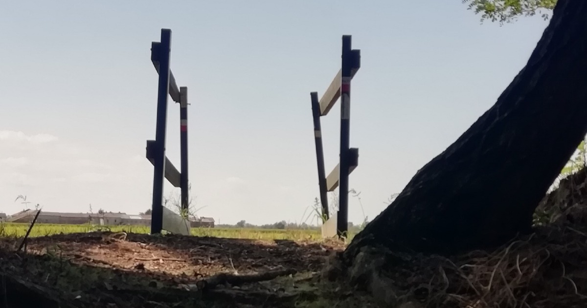 Walking for autism-Massimo Pedersoli 