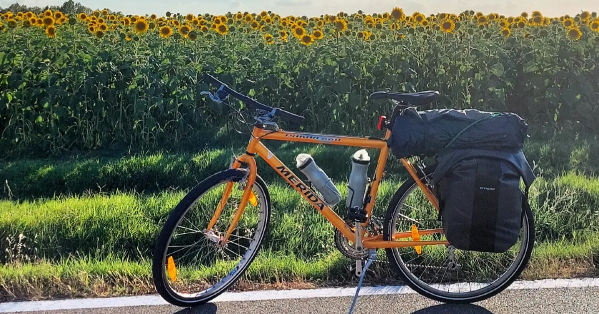 Per la vita che verrà!-Antonio Laneve