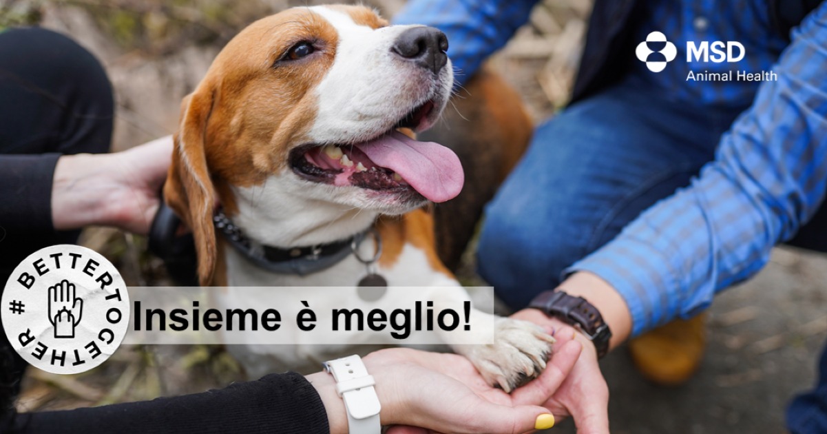 #BetterTogether: insieme è meglio-MSD Animal Health