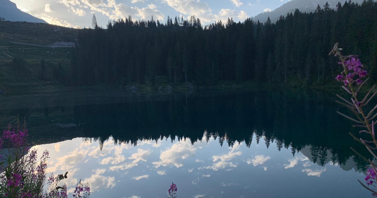 Ragazzi sereni-Luigi Necci