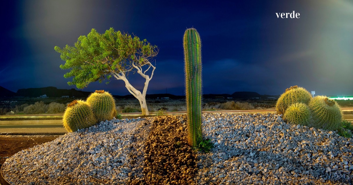 RESPIRA di lorenzo passoni RESPIRA-lorenzo passoni